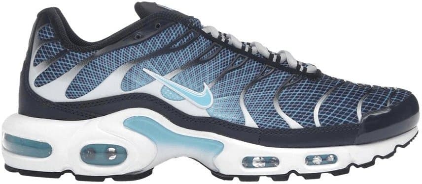 Nike Air Max Plus — Dark Obsidian