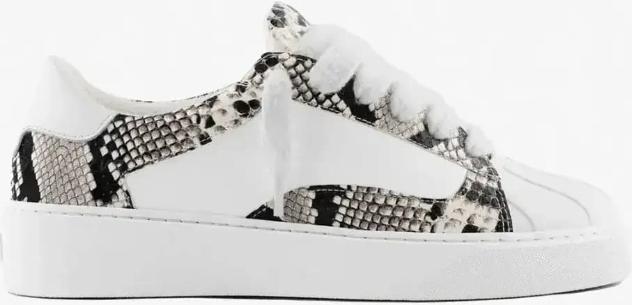 Numeris Eclipse Jet Sneakers Sneak