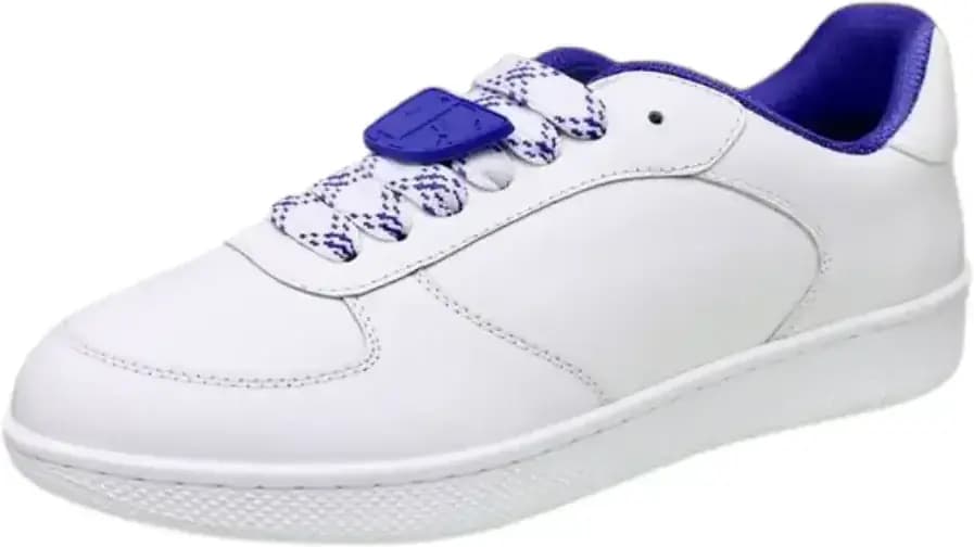 Burberry Terrace Low-Top Sneakers — Blue Inner Lining