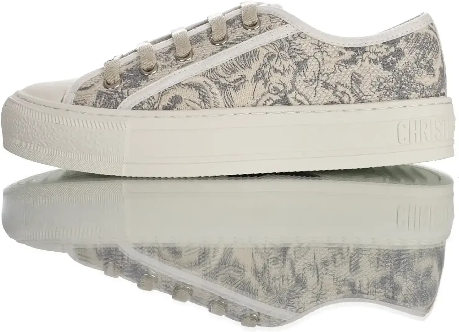 Dior WALK Gray